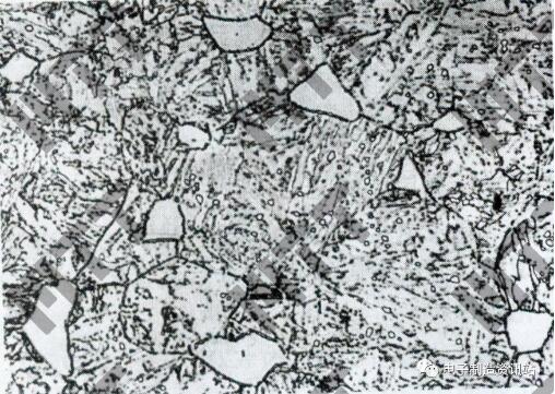 10Cr13，650 ℃回火，组织为回火索氏体＋铁素体